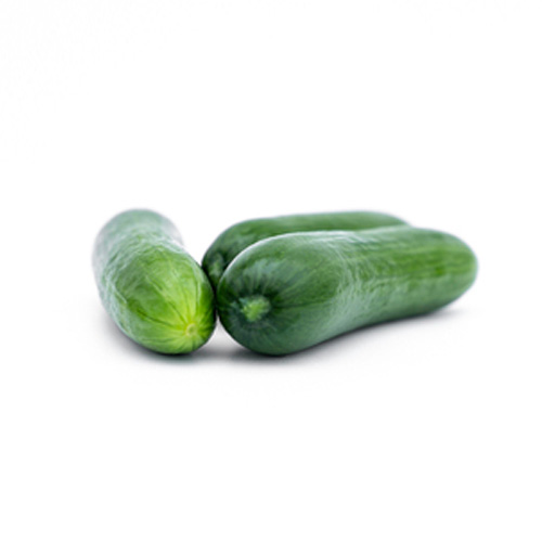 Mini Cucumbers